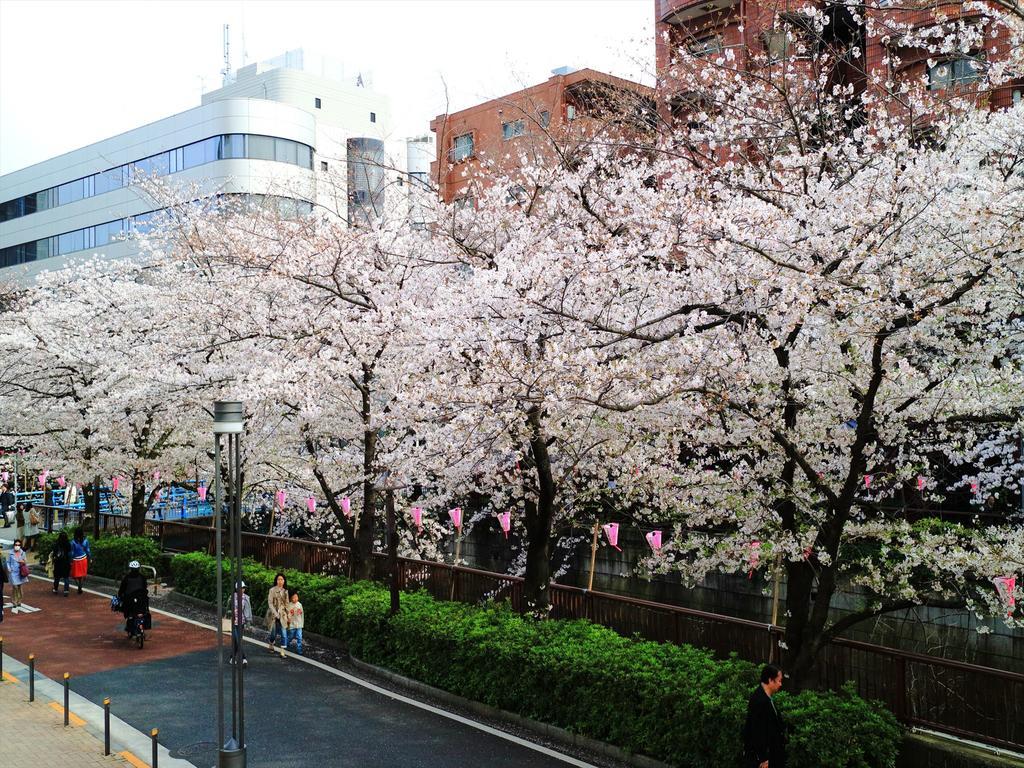 Coto Tokyo Shibuya 2 Apartment Exterior photo